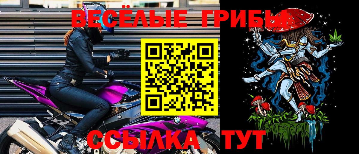 Псилоцибиновые грибы Cubensis  магазин    Свободный  Вход с VPN 